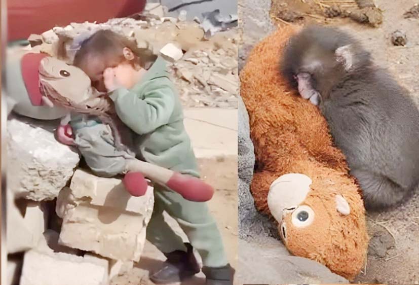 بچے اور کتا محبت اور دوستی کے لمحات میں، ایک دوسرے کے قریب.