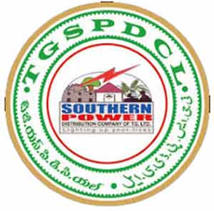 ایس جی ایس پی ڈی سی کا سرکاری لوگو، جنوبی پاورز کمپنی کی نمائندگی کرتا ہے.
