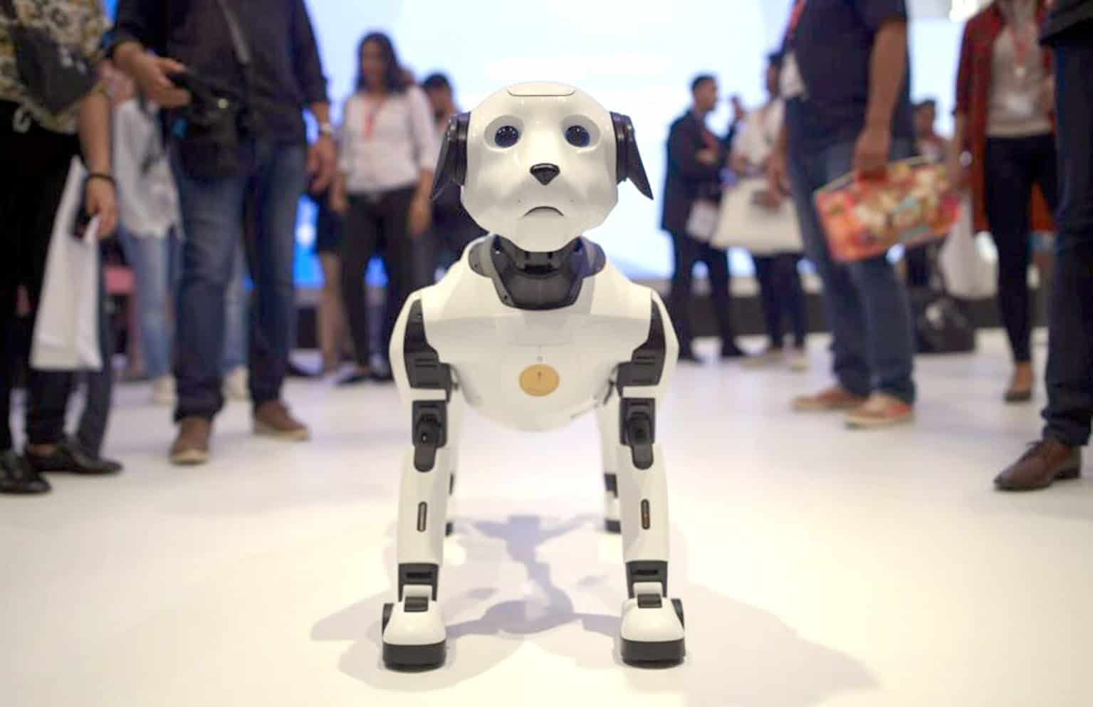 مصنوعی ذہانت سے چلنے والا روبوٹ کتا، جدید ٹیکنالوجی کی نمائش.