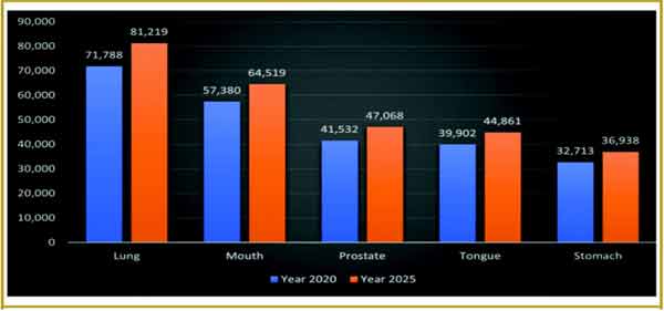 ایمیج کی وضاحت: پھیپھڑوں، منہ، پروسٹیٹ، زبان اور معدے کے سائز میں سال 2020 اور 2025 کے موازنہ کا گرا.