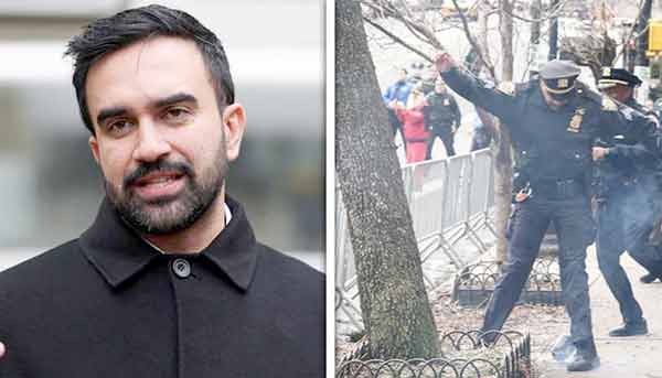 ایم پی اے کی تصویر اور پولیس کے مظاہرے.