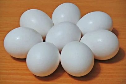 حیدرآباد میں انڈوں کی قیمتوں میں اضافہ ‘ہوا ہے کیونکہ گرمی سے پولٹری فارم متاثر۔