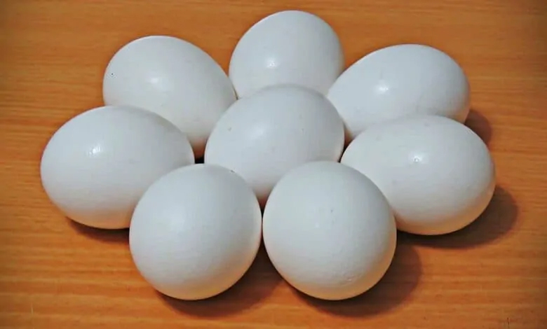 ایچ ٹی ایل ٹی ٹی پی، انڈے، سفید، کھانے کے انڈے، کھانے کی اشیاء.