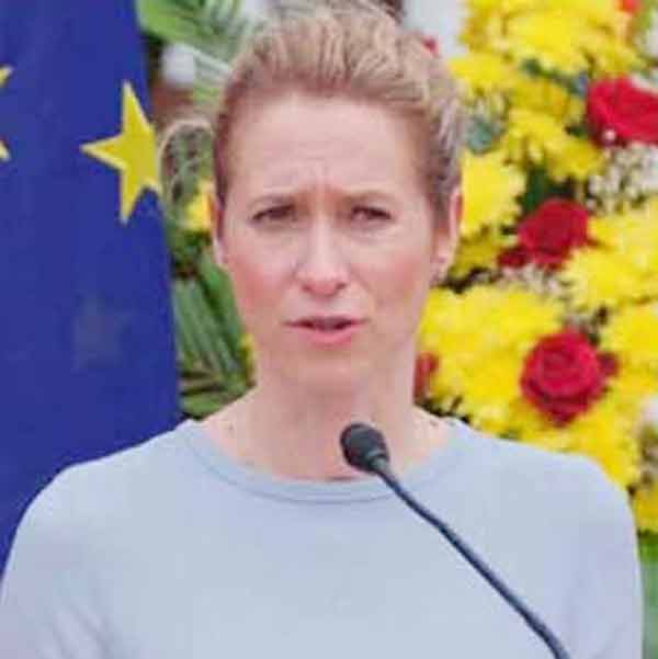 ایمج کا متبادل متن: یورپی رہنما ایک پریس کانفرنس میں بات کر رہی ہیں، پس منظر میں یورپی اتحاد کا جھنڈ.