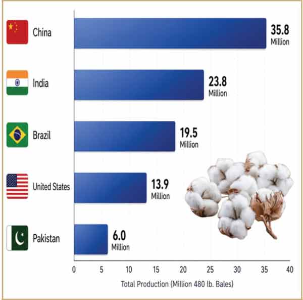 عالمی سطح پر مختلف ممالک کی پھولوں کی پیداوار کا گراف.