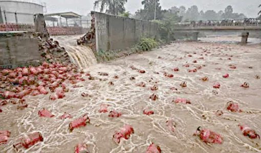 مہاراشٹرا کی ندی میں 3000 گیس سلنڈربہہ گئے