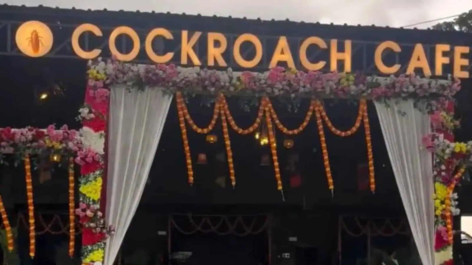 کاکروچ کیفے کا بیرونی منظر، خوبصورت سجاوٹ اور روشنیاں.