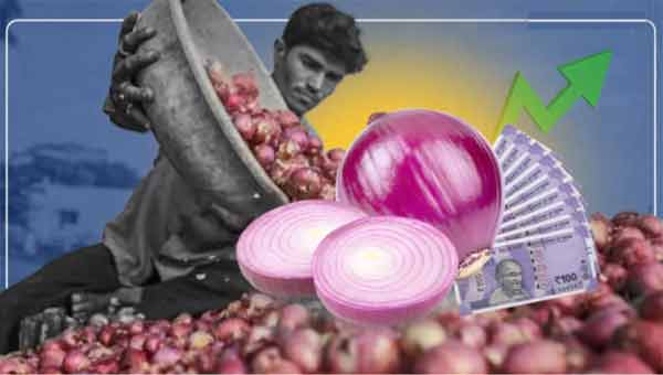 پیاز کی قیمت میں اضافہ، مالی مشکلات، کسان اور صارفین.