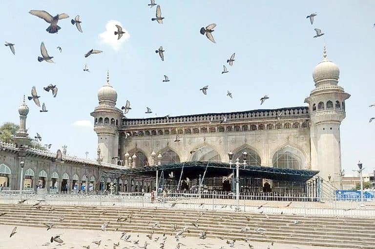 مسجد کا تاریخی اور خوبصورت منظر، پرندوں سے بھرپور آسمان کے نیچے.