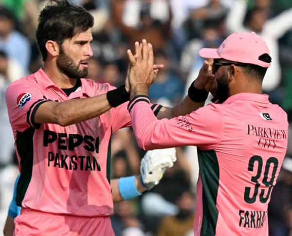 کرکٹ کے کھلاڑی Pink پیٹنگز پرفارمنس اور سلام سارے گولوں کے ساتھ.