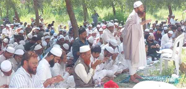 مسلمانوں کی جماعت دعا کے لیے جمع، سب سفید کپڑوں میں، درختوں کے نیچے.