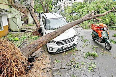 طوفان ’ارنب‘ آندھرا کے ساحل سے ٹکرانے کے بعد کمزور